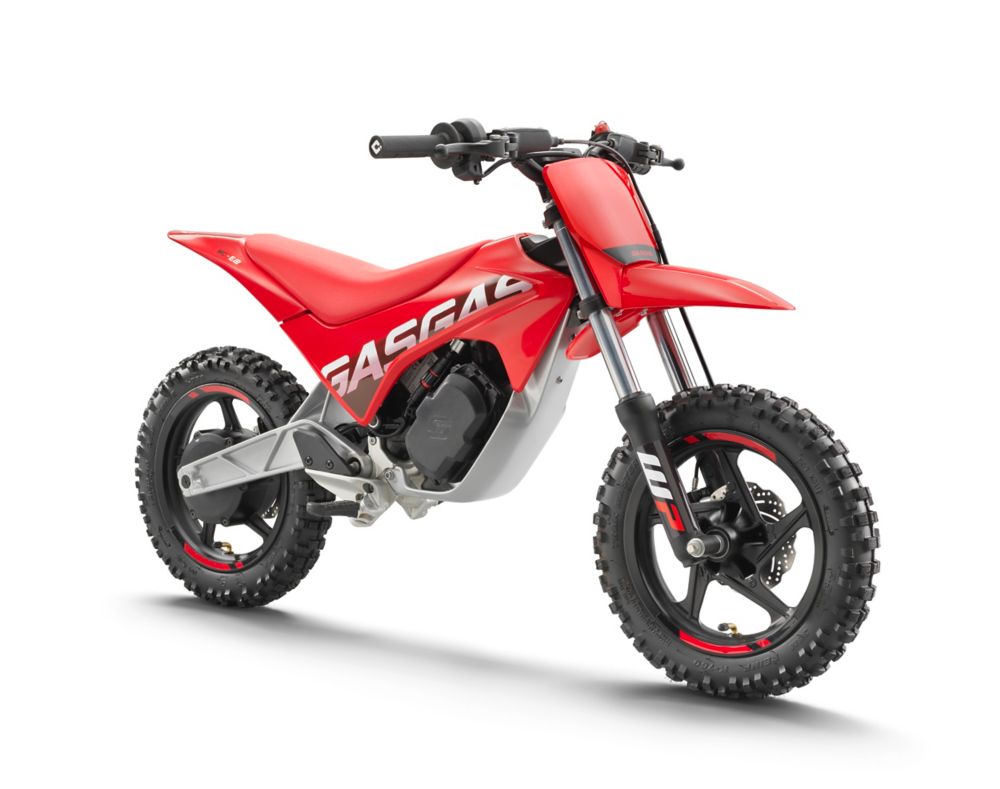 Electric kids best sale motocross bike